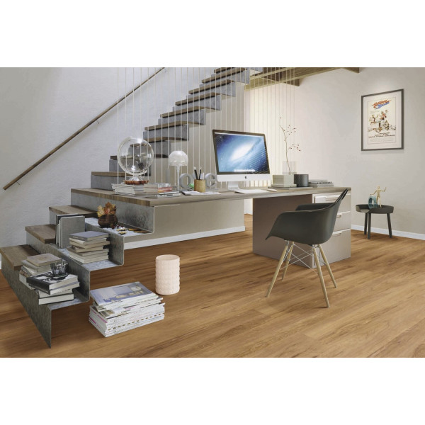 Home Solid Clic
